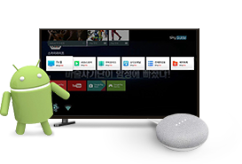 스카이라이프 skylife Android TV 셋탑박스